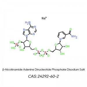 CRY003 β-Nicotinamide adenine dinucleotide phosphate disodium salt (NADP, oxidized coenzyme II) CAS: 24292-60-2